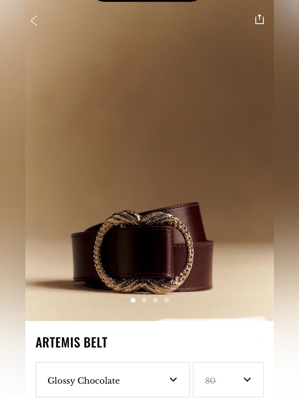 Sézane Artemis Belt in Chocolate with Gold Buckle